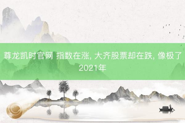 尊龙凯时官网 指数在涨， 大齐股票却在跌， 像极了2021年