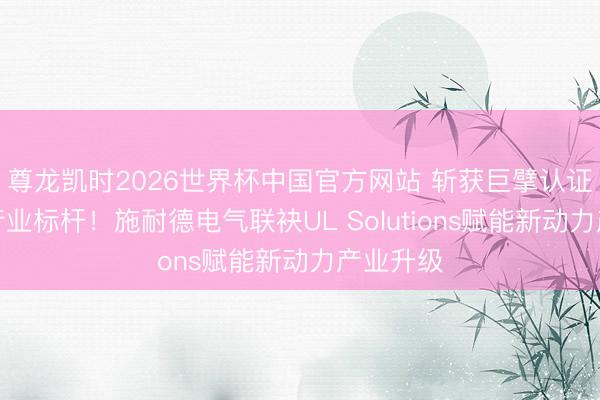 尊龙凯时2026世界杯中国官方网站 斩获巨擘认证，共建行业标杆！施耐德电气联袂UL Solutions赋能新动力产业升级