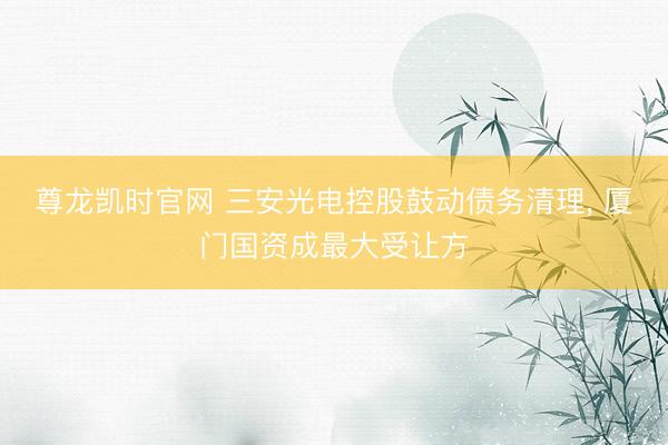 尊龙凯时官网 三安光电控股鼓动债务清理, 厦门国资成最大受让方