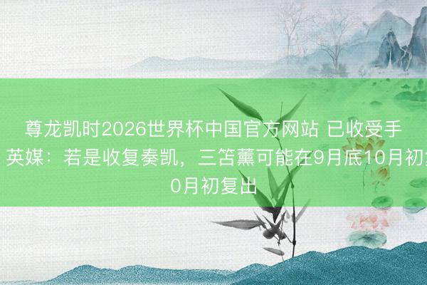 尊龙凯时2026世界杯中国官方网站 已收受手术，英媒：若是收复奏凯，三笘薰可能在9月底10月初复出