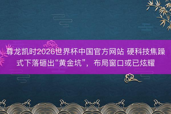 尊龙凯时2026世界杯中国官方网站 硬科技焦躁式下落砸出“黄金坑”，布局窗口或已炫耀