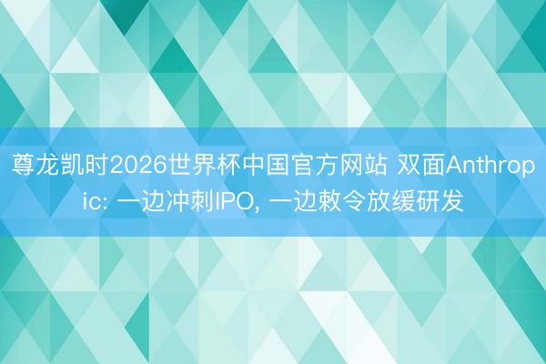 尊龙凯时2026世界杯中国官方网站 双面Anthropic: 一边冲刺IPO， 一边敕令放缓研发