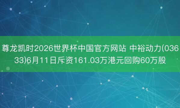 尊龙凯时2026世界杯中国官方网站 中裕动力(03633)6月11日斥资161.03万港元回购60万股