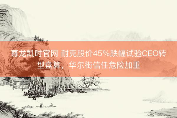 尊龙凯时官网 耐克股价45%跌幅试验CEO转型盘算，华尔街信任危险加重