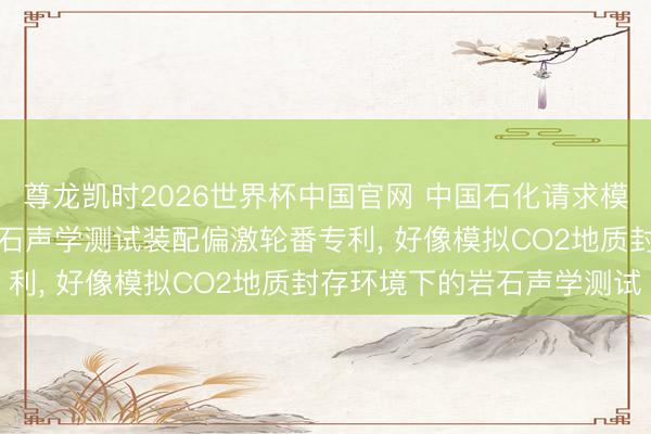 尊龙凯时2026世界杯中国官网 中国石化请求模拟CO2地质封存环境岩石声学测试装配偏激轮番专利， 好像模拟CO2地质封存环境下的岩石声学测试
