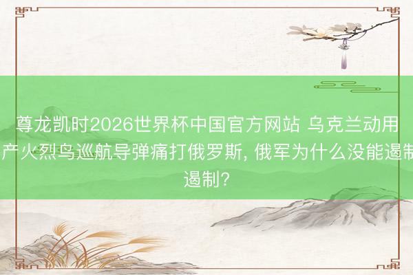 尊龙凯时2026世界杯中国官方网站 乌克兰动用国产火烈鸟巡航导弹痛打俄罗斯, 俄军为什么没能遏制?
