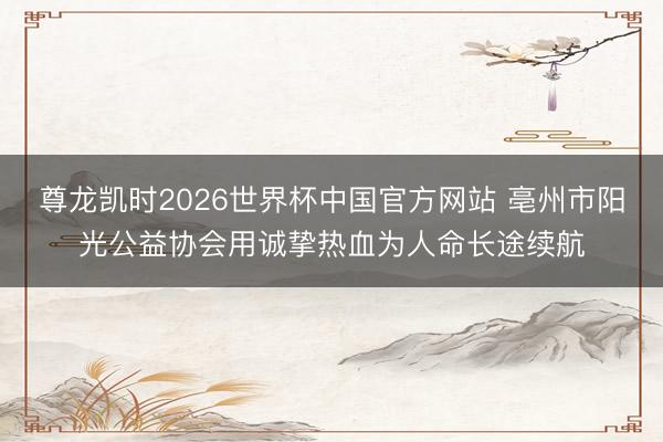 尊龙凯时2026世界杯中国官方网站 亳州市阳光公益协会用诚挚热血为人命长途续航