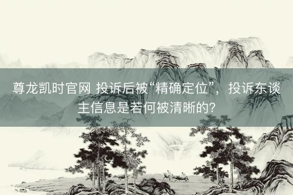 尊龙凯时官网 投诉后被“精确定位”,投诉东谈主信息是若何被清晰的?
