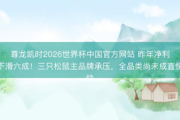 尊龙凯时2026世界杯中国官方网站 昨年净利下滑六成！三只松鼠主品牌承压，全品类尚未成直快